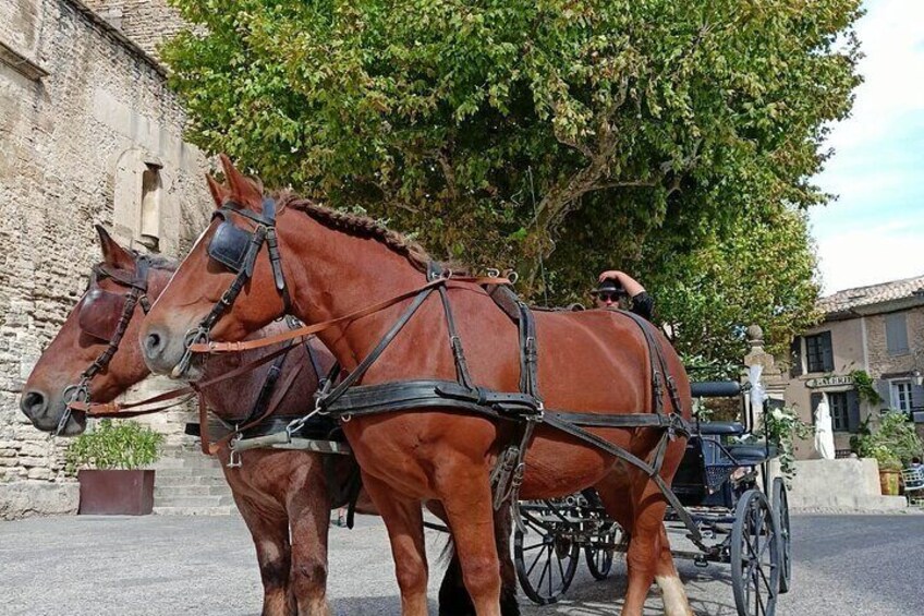 Carriage rides in the heart of the Luberon