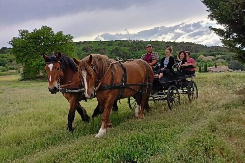 Carriage rides in the heart of the Luberon