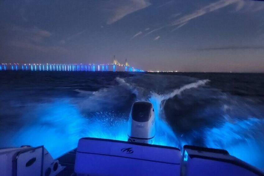 Private Guided Charter Boat with Watersports in Gulfport