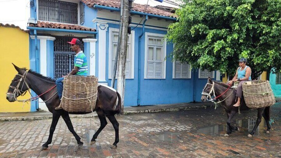 Typical Transport in the Countryside