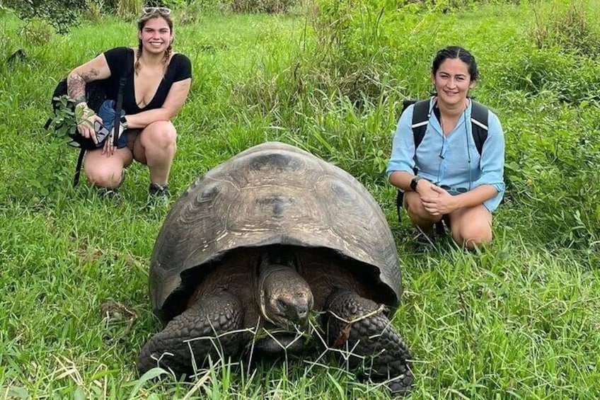Private Tour Sighting Giant Tortoises and Lava Tunnels
