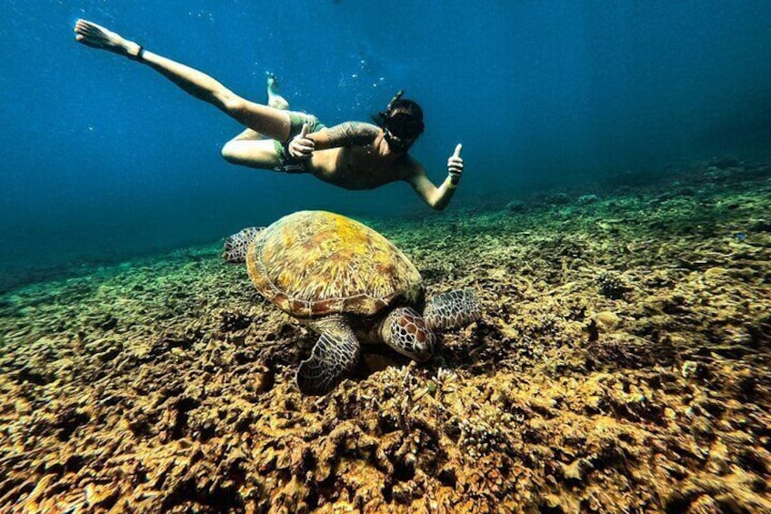 Full Day Snorkeling in Perhentian Island