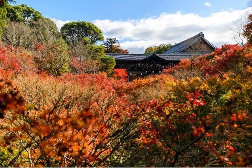 Early Bird E-biking through East Kyoto