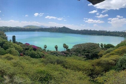 Day Trip from Addis Ababa to Crater Lakes at Bishoftu