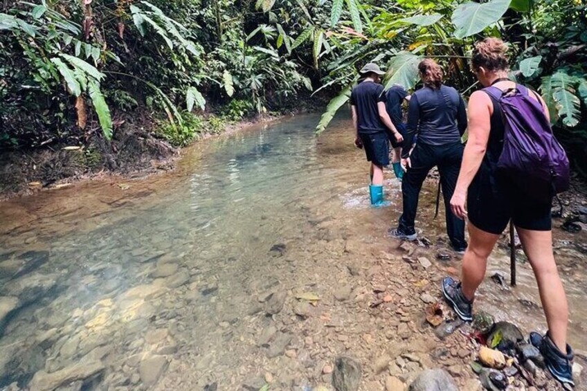 hike