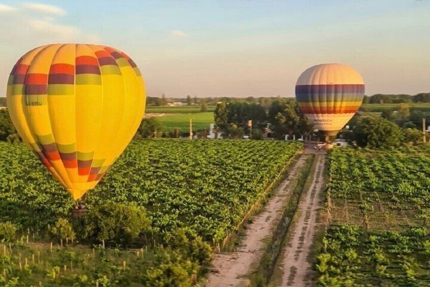 Golden Skies of Mendoza: Balloon Flight at Sunset