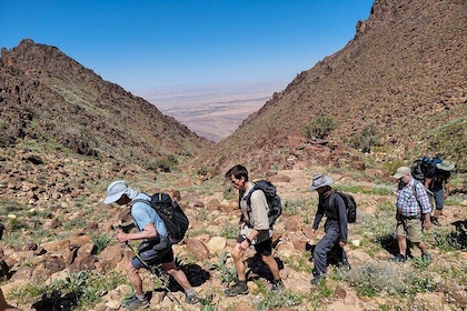 6 Days Guided Trek From Dana to Petra (Group)