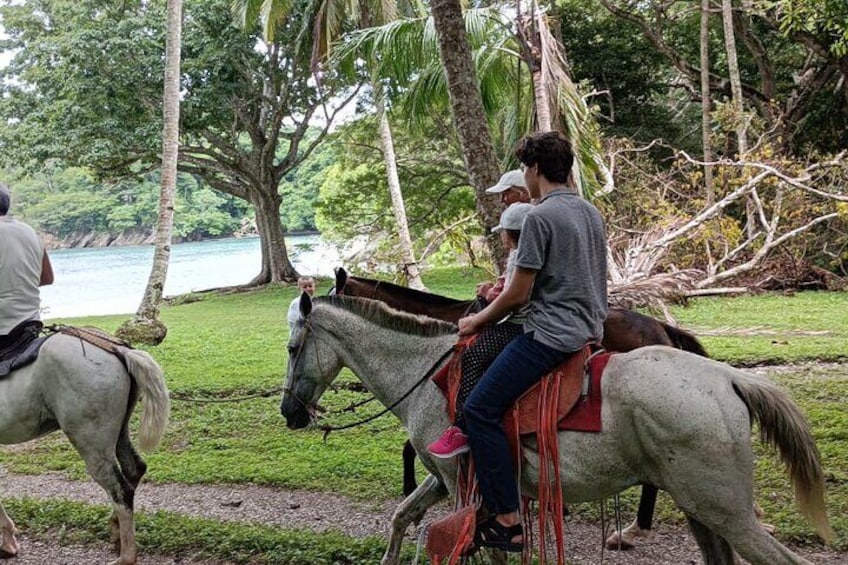 2 hours Tour Horseback Riding and Visiting the Beach