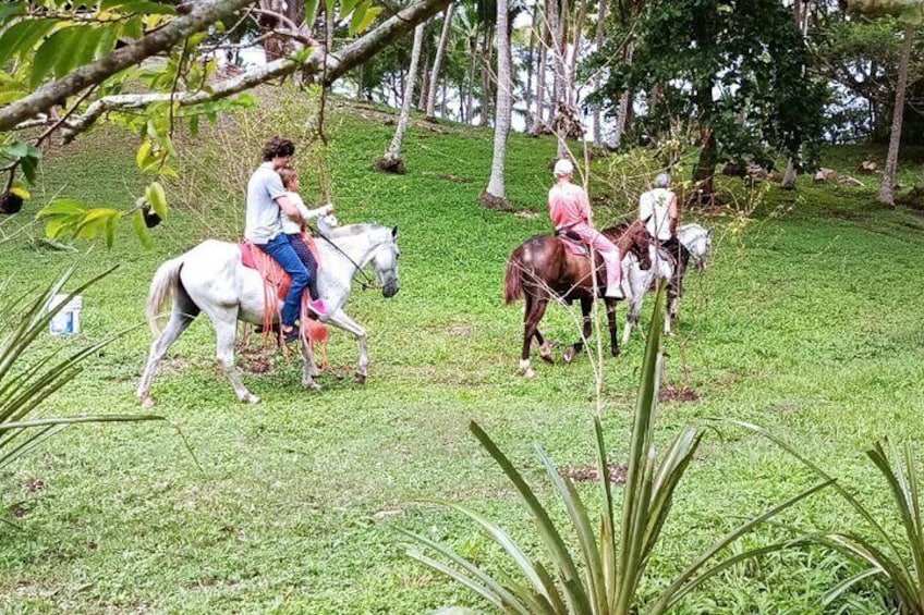 2 hours Tour Horseback Riding and Visiting the Beach