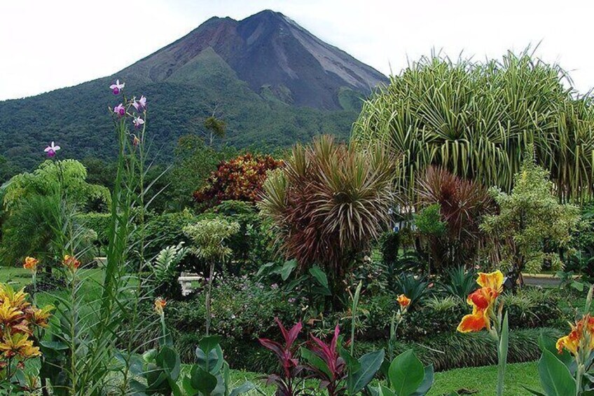 Full Day Tour to Arenal La Fortuna Volcano from Flamingo