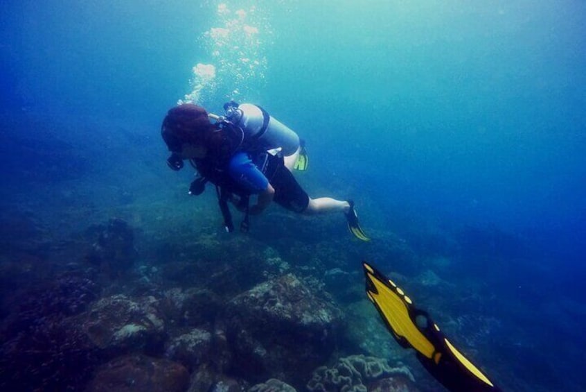 3 Hour Guided Scuba Diving in Trincomalee