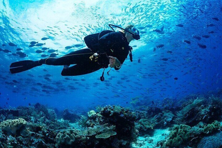 3 Hour Guided Scuba Diving in Trincomalee
