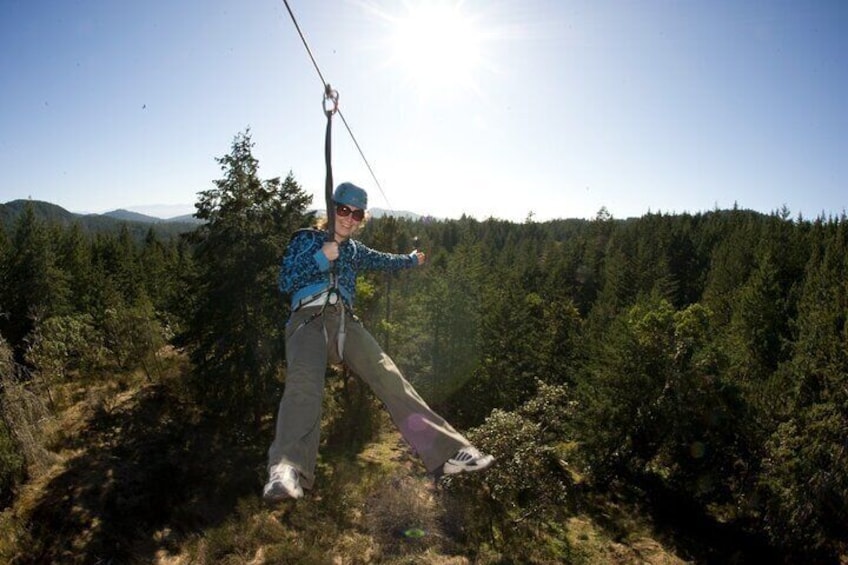 Guided Canopy Tour w/Transportation
