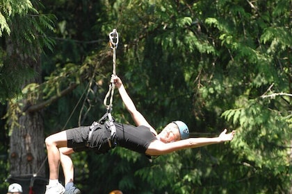 Guided Canopy Tour w/Transport