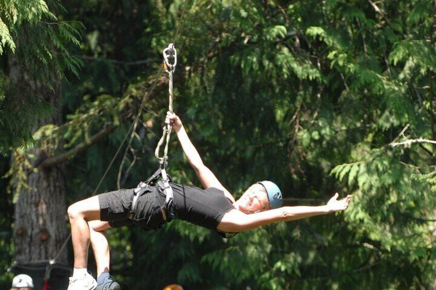 Guided Canopy Tour w/Transportation