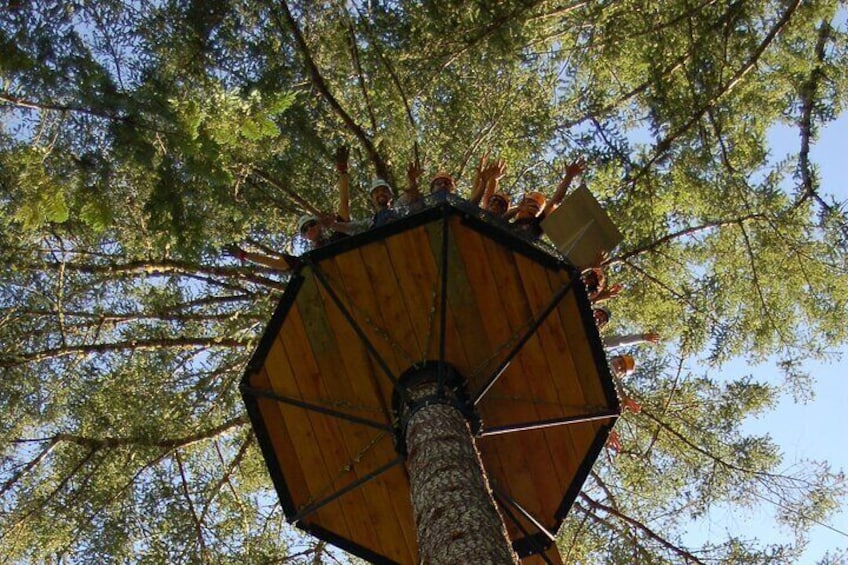 Guided Canopy Tour w/Transportation