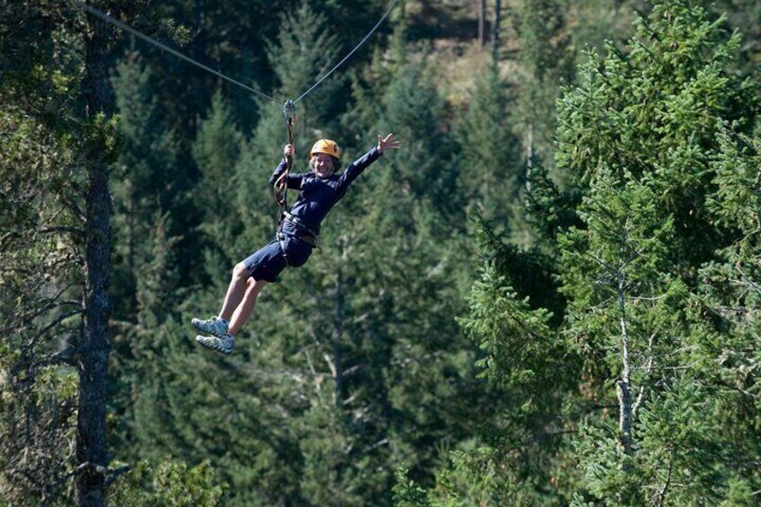 Guided Canopy Tour w/Transportation