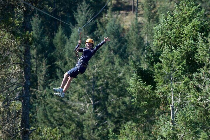 Guided Canopy Tour w/Transportation