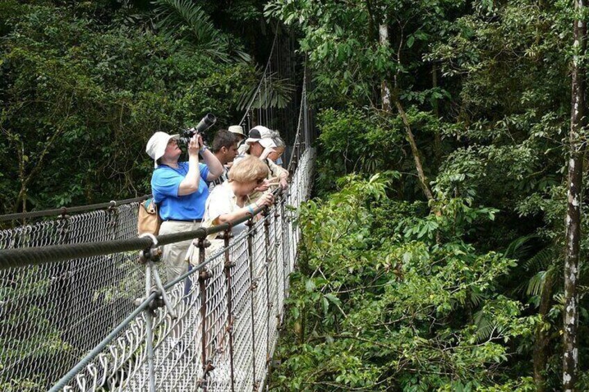 Hanging Bridges + Volcano Walk + La Fortuna Waterfall