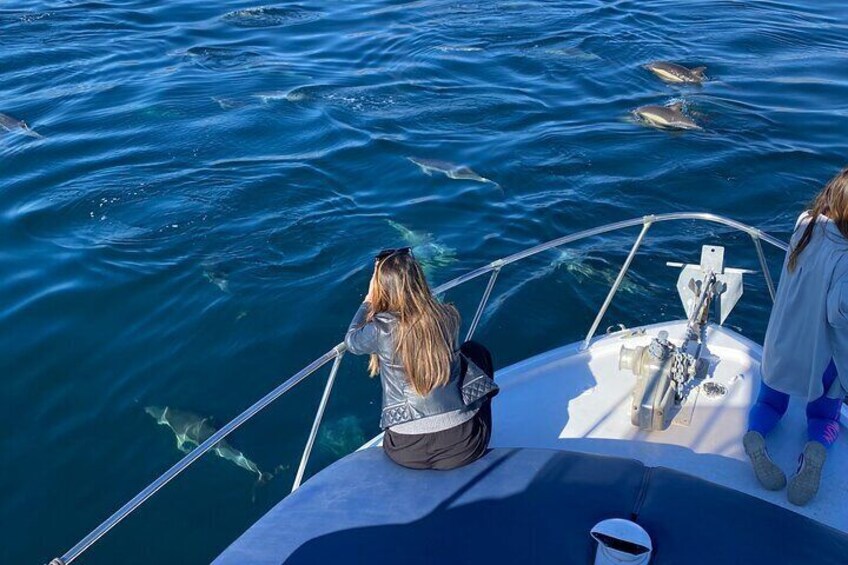 Tour on boat along the coast of Benalmadena with a lot of sea activities!!