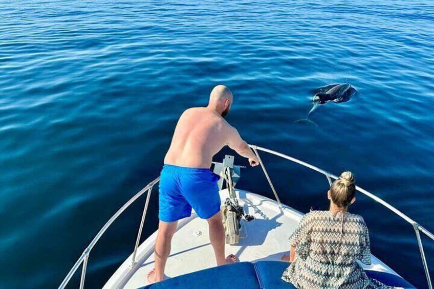 Tour on boat along the coast of Benalmadena with a lot of sea activities!!