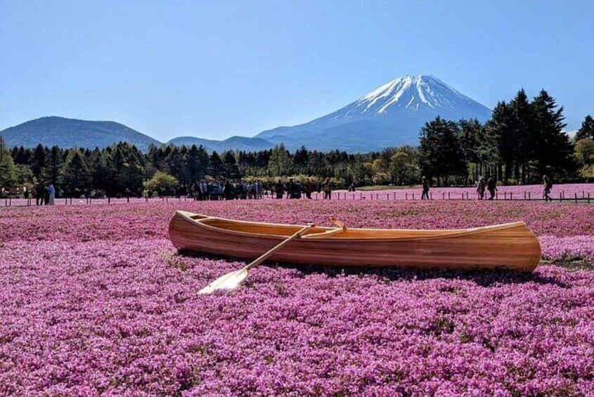 Private Tour to Mount Fuji from Tokyo with Pick Up