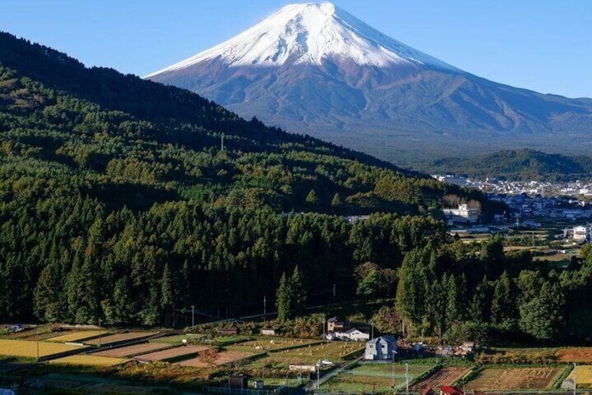 Mt. Fuji Private Tour by Car with Pick-up from Tokyo