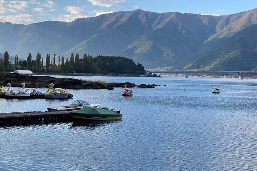 Mt. Fuji Private Tour by Car with Pick-up from Tokyo