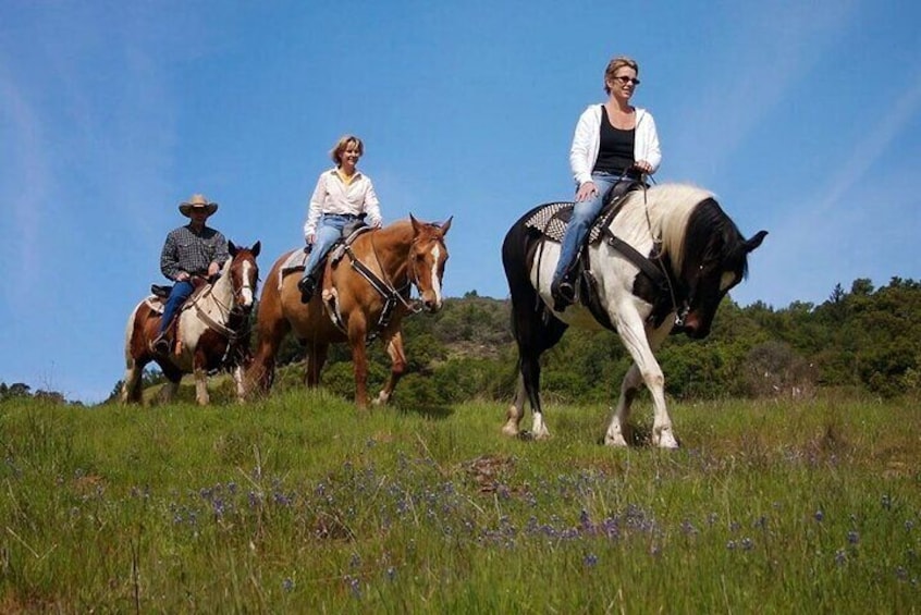 Fethiye Horse Riding - Professional Instructor & Friendly Horses