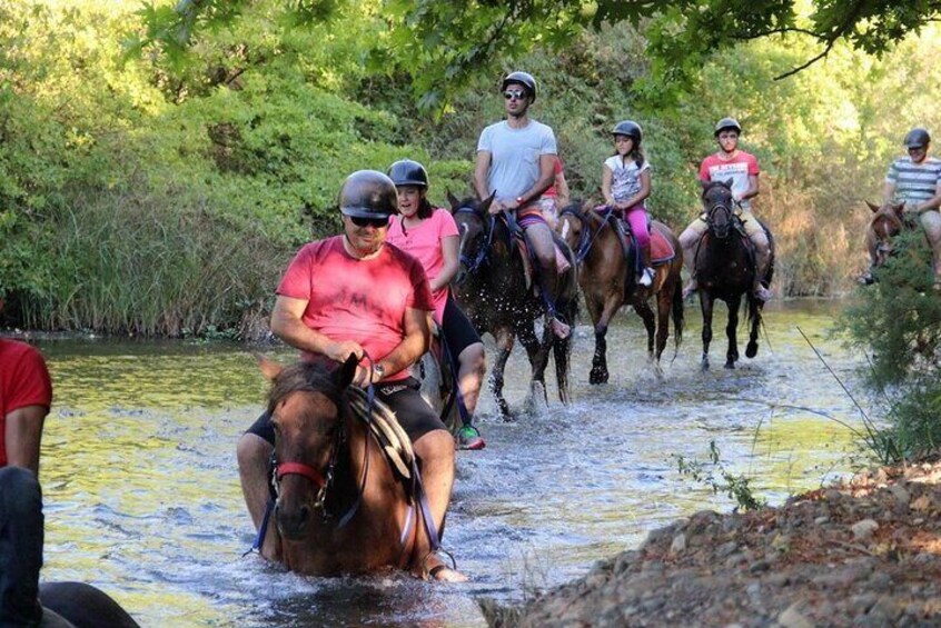 Fethiye Horse Riding - Professional Instructor & Friendly Horses