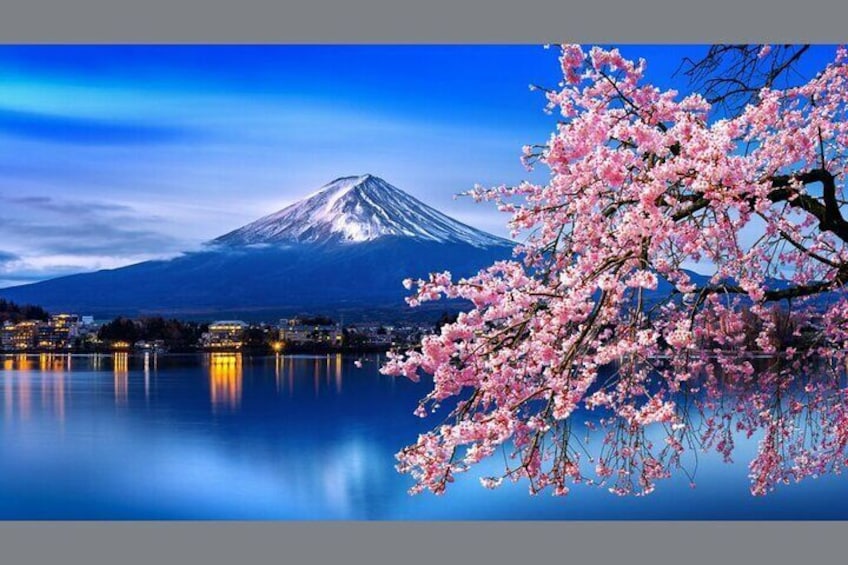 Mount Fuji & Hokane Lakes with English-speaking Guide