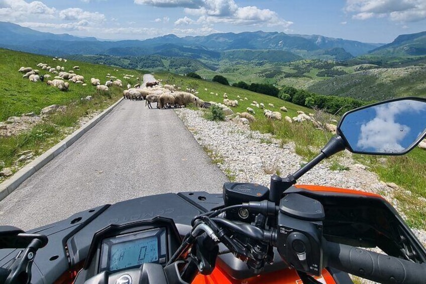 Private Panorama Quad Tour on Mountain of Bjelašnica