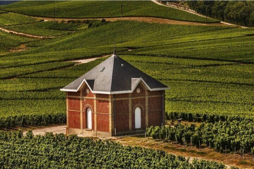 Private Tour to the best Champagne Wineries from Paris