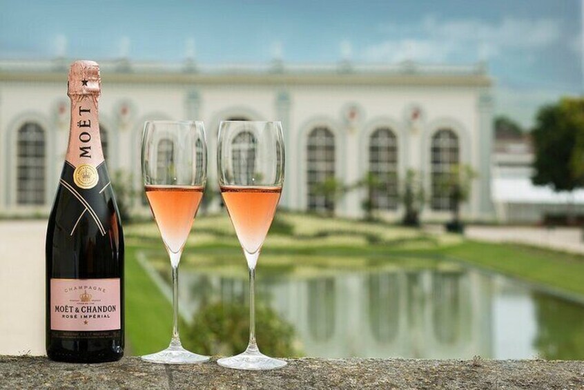 Private Tour to the best Champagne Wineries from Paris