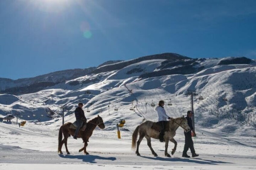 Horse Riding