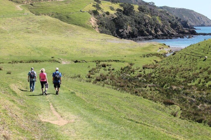 Coromandel Coastal Walkway: Full-Day Hike and Bike Tour