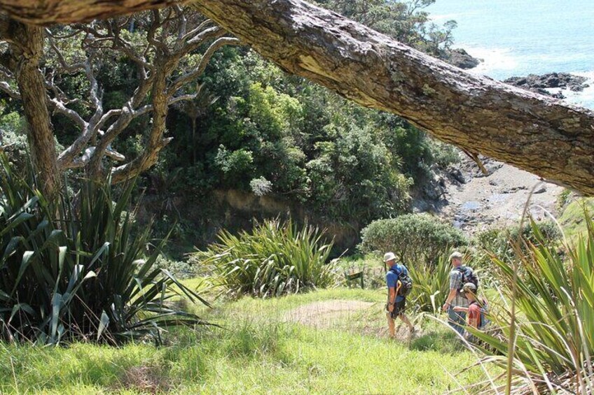 Coromandel Coastal Walkway: Full-Day Hike and Bike Tour