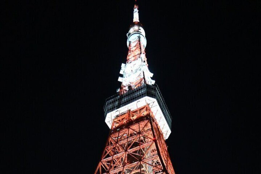 2-Hour Tokyo Night Small Group Guided Cycling Tour