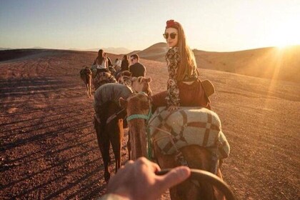 Marrakech: Agafay Desert, Sunset Camel Ride and Dinner Shows