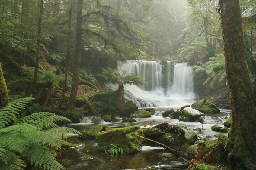 Horseshoe Falls - Mt Field National Park