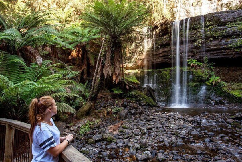 Mt Field National Park