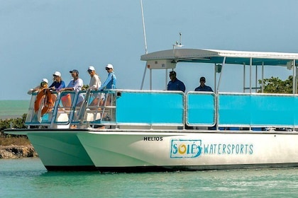 Marathon: COMBO- Snorkel & Sandbar (Coffins Patch Reef)