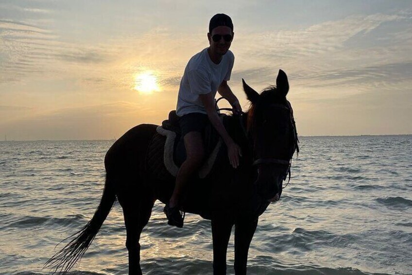 Private Horse Riding Experience at Red Sea