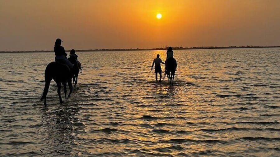 Private Horse Riding Experience at Red Sea