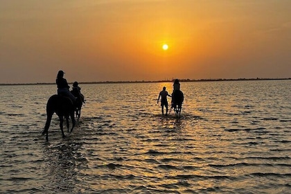 Private Horse Riding Experience at Red Sea