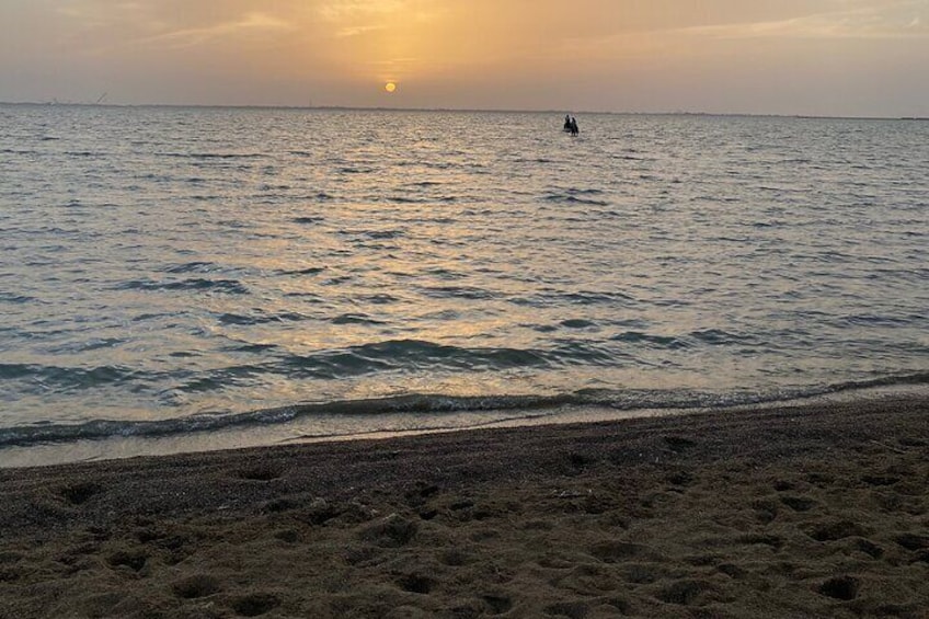 Private Horse Riding Experience with Picnic at Red Sea