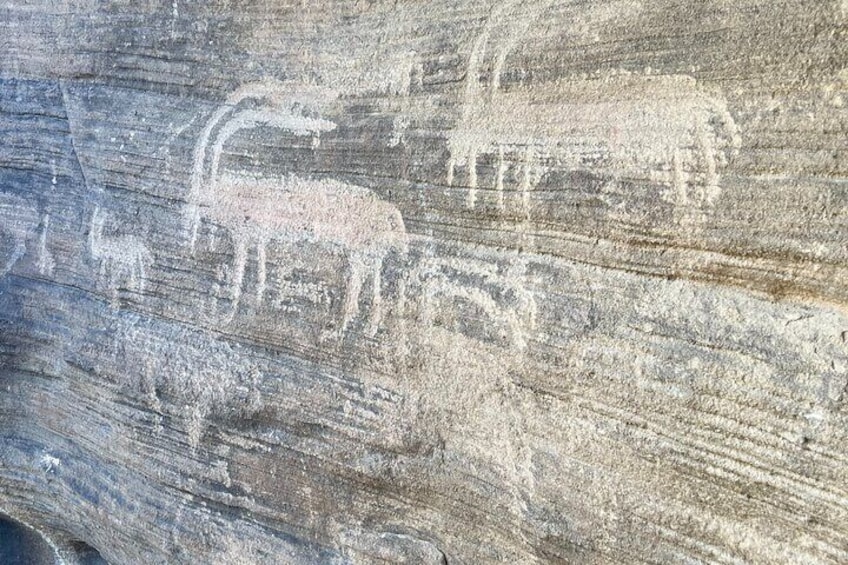 Full-day Tour at Black Mountain in Saudi Arabia