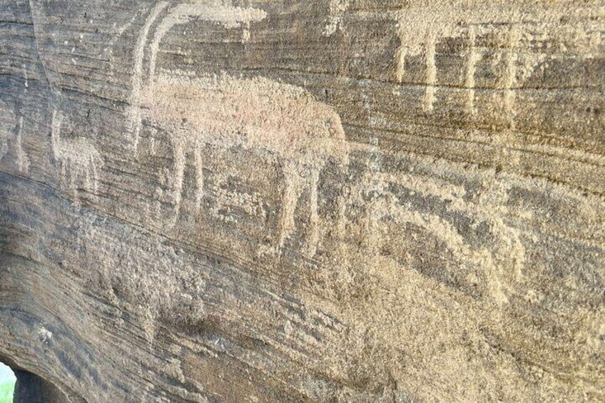 Full-day Tour at Black Mountain in Saudi Arabia