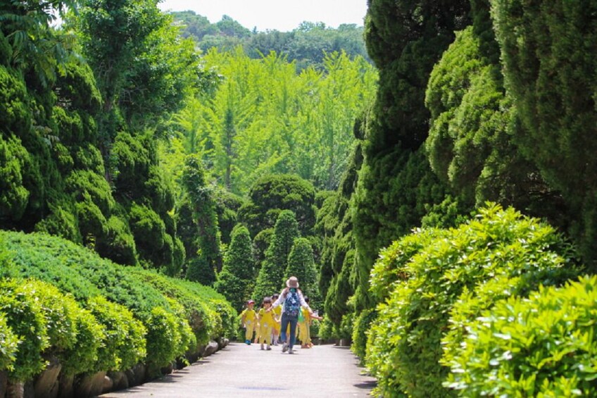 South Korea: Bear Tree Park & Arboretum Ticket