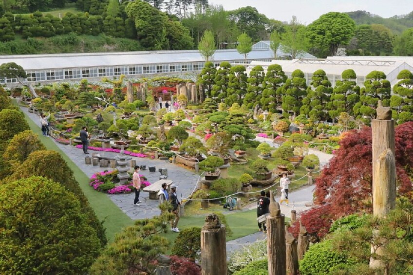 South Korea: Bear Tree Park & Arboretum Ticket